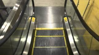 Mitsubishi Escalators - Whole Foods - Tarzana, CA