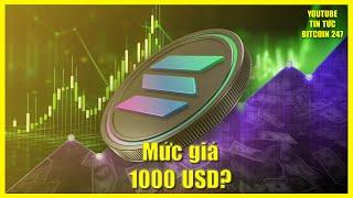 Mức giá 1000 USD của Solana có khả thi, những thay đổi quan trọng