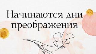 Сегодня ворота свободы открываются. Начинается преображение.