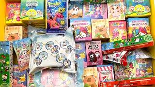 Blind Box ASMR no talking mystery surprise toys SpongeBob, Tokidoki, Sanrio ASMR Unboxing Sounds