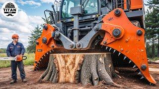 Extreme Dangerous Monster Stump Removal Excavator | Amazing Fastest Wood Chipper Machines #15