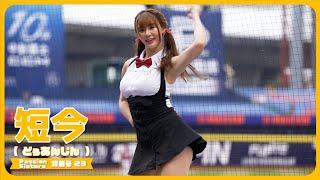 メイドな短今が踊るチャンテ Passion Sisters 中信兄弟啦啦隊  cheerleader 치어리더 臺中洲際棒球場 2024/5/19【台湾チアTV】