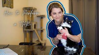 Vet Med TPR: How to Perform Vitals as a Vet Tech