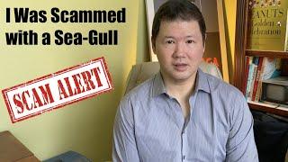 How I Was Fooled | A Real Sea-Gull Vs A Fake Sea-Gull