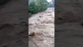 8 killed in northwestern Pakistan due to torrential rain