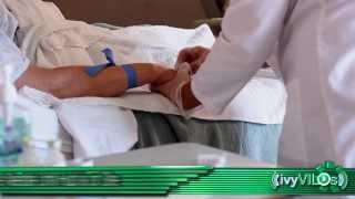 IV Insertion ~ivyVILOs~(Ivy Tech Community College, School of Nursing)