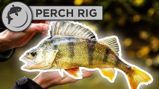How To Tie a Simple Perch Rig - Feeder or Ledger