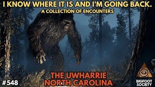 The Night Sasquatch Came to Dinner: Bigfoot Society 548