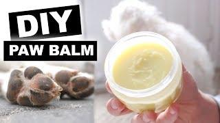 Easiest DIY Dog Paw Balm Wax Tutorial | Jenelle Nicole