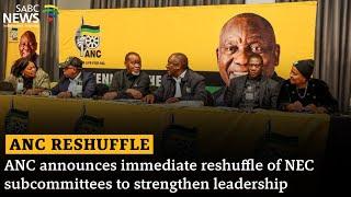 ANC reshuffles NEC sub-committees