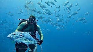 Snapper with a huge school of APs and a bonus wahoo catch at the end.