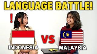 How Similar Are They? Can They Understand Each Other? (Indonesia vs Malaysia)