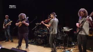 Elephant Sessions perform Misty Badger live at Stirling Tolbooth (The Visit 2017)