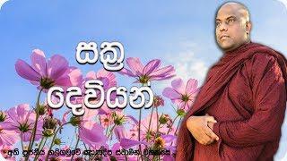 සක්‍ර දෙවියන් | The God Sakra | Ven Galigamuwe Gnanadeepa Thero