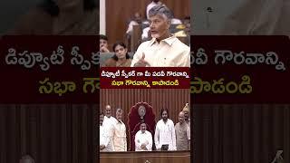 డిప్యూటీ స్పీకర్ గా మీ పదవీ గౌరవాన్ని... సభా గౌరవాన్ని కాపాడండి #APBudgetSession2024 #APAssembly