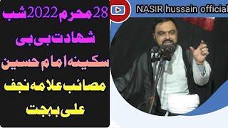 28محرم 2022شب شھادت بی بی سکینہ امام حسین مصائب علامہ نجف علی بہجت مرکزی امام بارگاہ پاراچنار