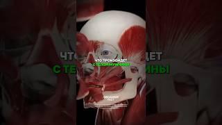 Что происходит с телом мужчины если он будет кушать яйца. #питание #здооовье