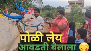 बैल पोळा आति सुंदर साजरा झाला आमच्या कड #vlog #manishahajare