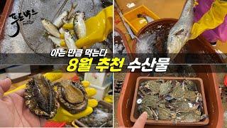 아는 만큼 먹는다  가성비 좋은 8월의 추천수산물들!   [미리보는8월의 수산시장]