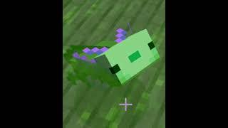 How To Get a Blue Axolotl | Minecraft Survival Tip | #Shorts