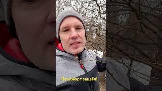 Первоцветы Петербурга. Экологические экскурсии с Алексеем Коткиным. #первоцветы #экскурсиипитер