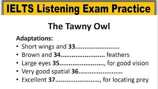 The Tawny Owl listening practice test 2024 with answers | IELTS Real Exam Listening, IELTS LISTENING
