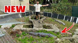 BUILDING Huge GATOR Enclosure! Pt. 1