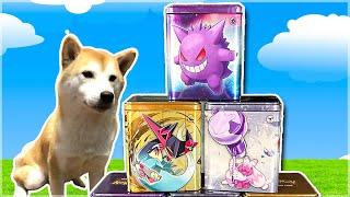 NEW POKEMON TINS MUST BE OPENED (and destroyed)