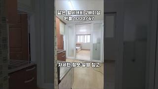 [봉천역원룸] 상가주택 분리형원룸 크기대박 동향 #봉천역원룸