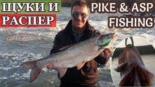 Риболов на ЩУКА и РАСПЕР с Ръчно Направени Воблери // PIKE & ASP Fishing with Handmade Fishing Lures