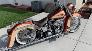 Mike’s Mobile Detailing - Harley Softail#harleydavidson #softail #freedom