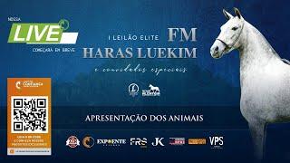 Apresentação dos Animais - I Leilão Elite Haras Luekim