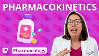 Pharmacokinetics: Nursing Pharmacology | @LevelUpRN