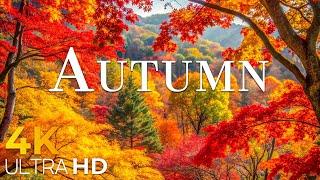 New England's Autumn Beauty - Stunning Foliage in Vermont and New Hampshire  Countdown!