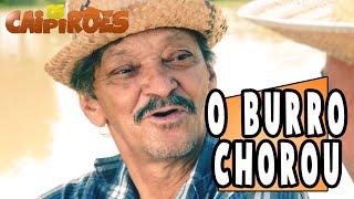 Os Caipirões - O Burro Chorou