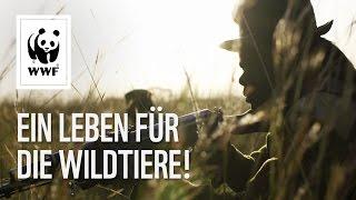 Wilderei stoppen: Nashornjagd in Afrika | WWF Deutschland