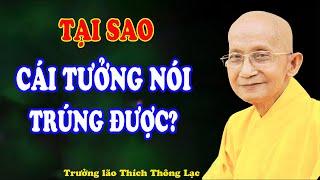 Vấn đáp Phật pháp: Vì sao cái Tưởng nói trúng được?