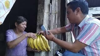 ijoles doña leticia no quiere nada, miro feo el platano 