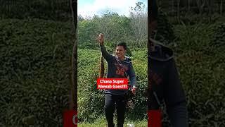 chana terkeren yang pernah didapat ngak mau kalah sama yang mancing  #shorts #viral #videos #fyp