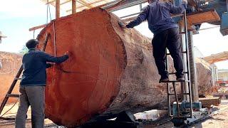 The World's Largest Wood Factory // How Will You Process This Giant Tree?