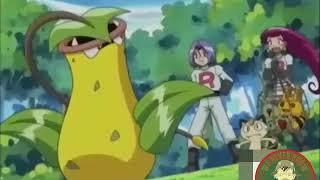 Weepinbell evoluciona a Victreebel sin una piedra hoja - FAIL anime Pokémon