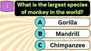 Monkey Quiz Game: Test Your Primate Knowledge in 5 Seconds!