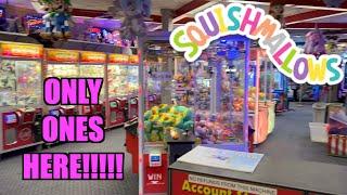 SQUISHMALLOW CLAW MACHINE ARCADE ALL TO OURSELVES