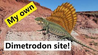 I found my first Dimetrodon site!