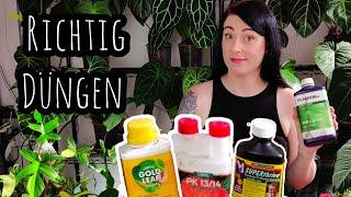 Zimmerpflanzen richtig DÜNGEN | meine Routine