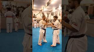 #kyokushin #shinkyokushin #karate #martialarts #shorts #shortsvideo #1kyokushin #一極真 #極真会館