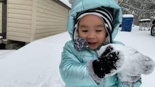 Zarlou's First Snow