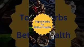 Top 5 Herbs for Better Health