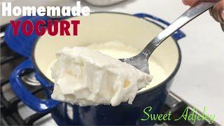 HOW TO MAKE YOGURT AT HOME WITH & WITHOUT A YOGURT STARTER | HOMEMADE YOGURT FROM SCRATCH