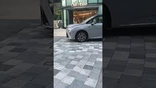 LAI PING ROAD SHA TIN ,Indarti Creator